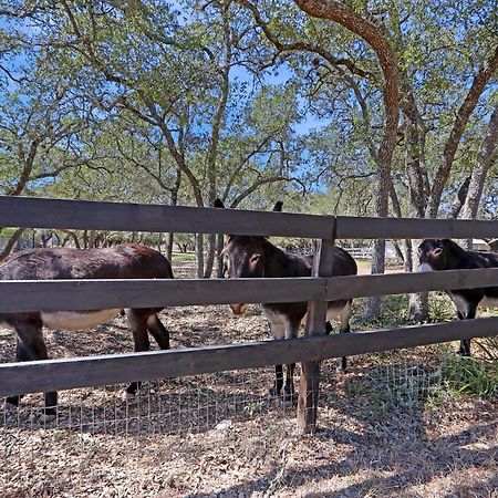 Red Donkey Cottage Wimberley Esterno foto