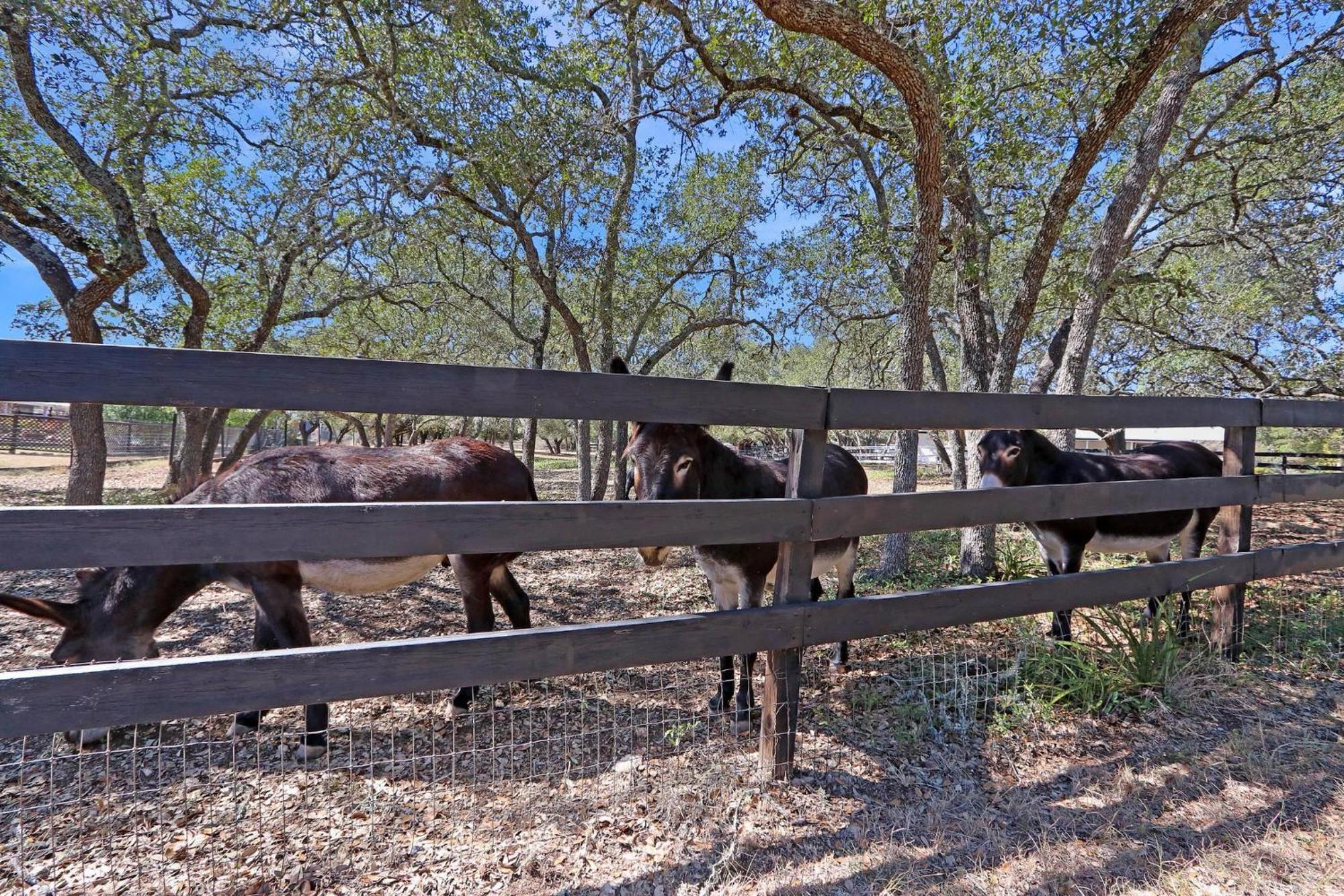 Red Donkey Cottage Wimberley Esterno foto